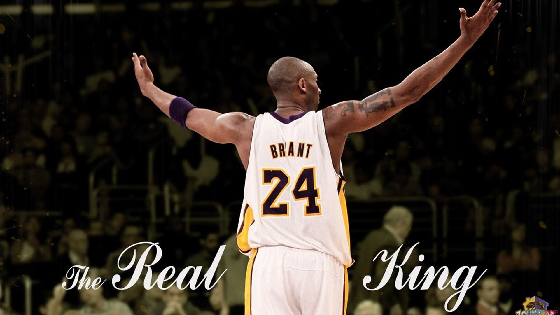 开云体育网页入口-拼尽每一次防守与进攻的激情，拼尽每一次防守与进攻的激情作文