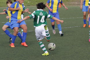 kaiyun 开云体育-最后几场比赛，谁能实现逆袭？，最后三场比赛